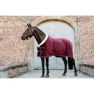 Show Rug Velvet Bordeaux