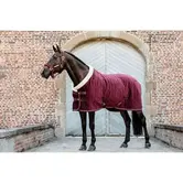 Show Rug Velvet Bordeaux 140-191cm