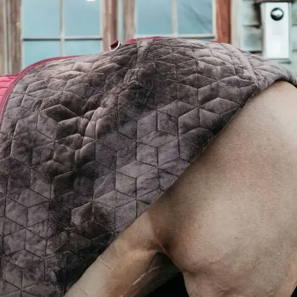 Kentucky Show Rug Velvet Bordeaux 140-191cm