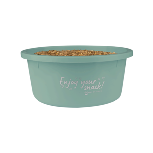 Treat  Bowl 2L Green