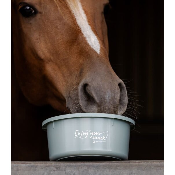 Waldhausen Treat  Bowl 2L Green