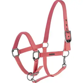 Covalliero Halter + Touw