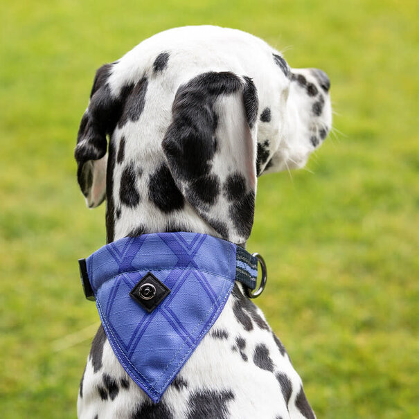QHP Hondenhalsband Met Bandana