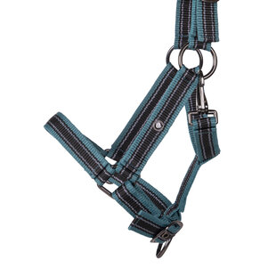 Veulenhalster Collection