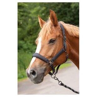 Halsterset Denici Cavalli Shadow