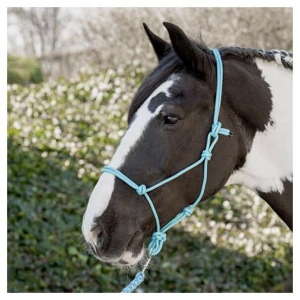 Harry's Horse Touwhalster HH