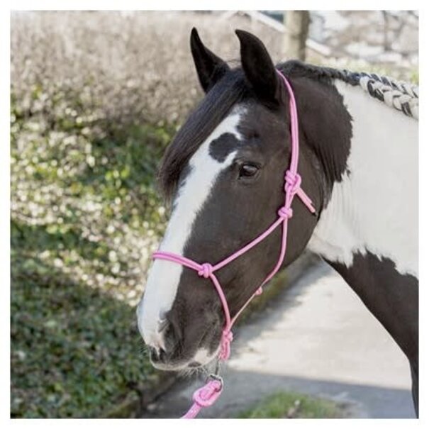 Harry's Horse Touwhalster HH
