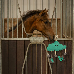 Paardenspeelgoed Novy