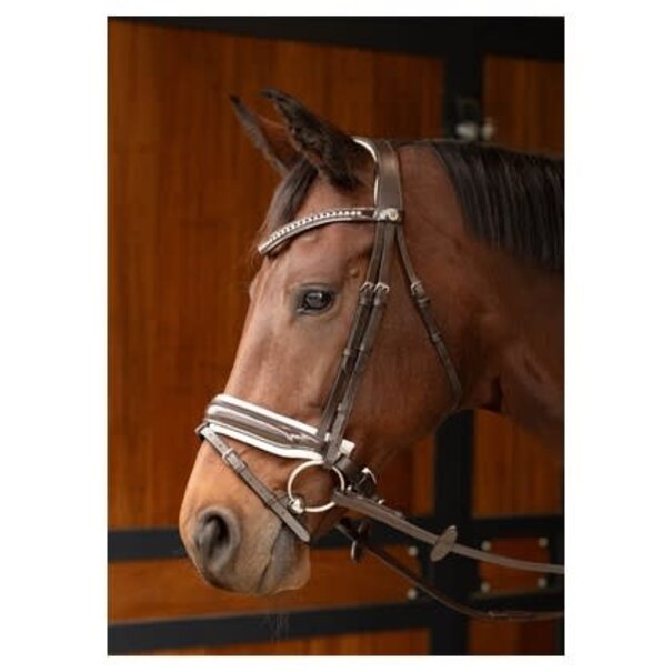 Harry's Horse Hoofdstel Chique