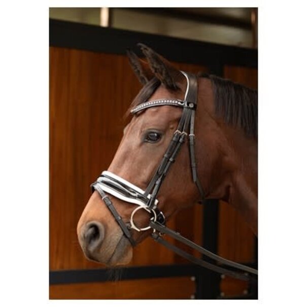 Harry's Horse Hoofdstel Chique