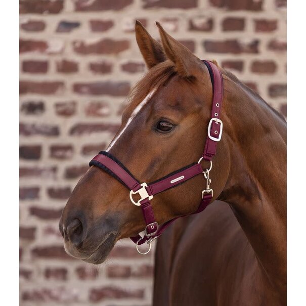 Waldhausen Breath halster