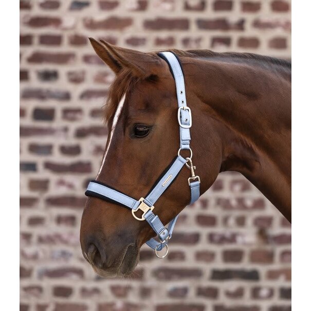 Waldhausen Breath halster