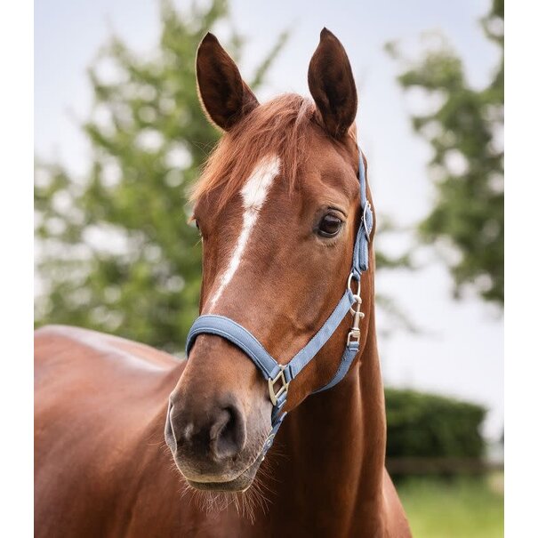 Waldhausen Halster Satin Pony Pastel Blue