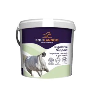 Digestive Support Equilannoo 4kg