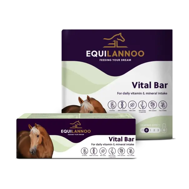 EquiLannoo Vital Bar Equilannoo 4.5kg
