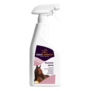 Summer Spray 500 ml