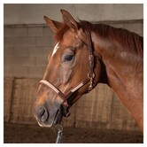 Halster Leder Flash