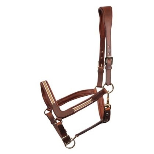 Harry's Horse Halster Leder Flash