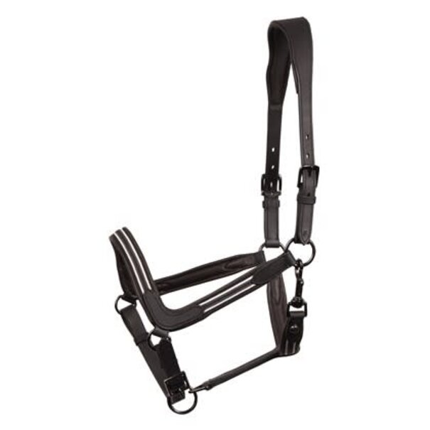 Harry's Horse Halster Leder Flash