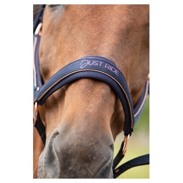 Harry's Horse Halsterset Just Ride NightSky
