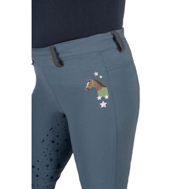 Hkm Rijlegging Pony Dream