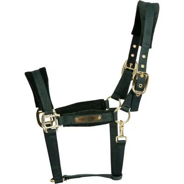 Kentucky Velvet Halster Velvet