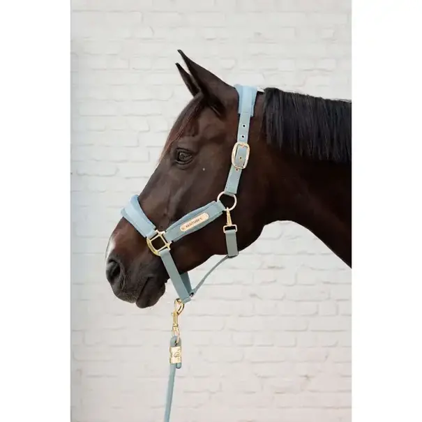 Kentucky Kentucky Lead Rope 2m