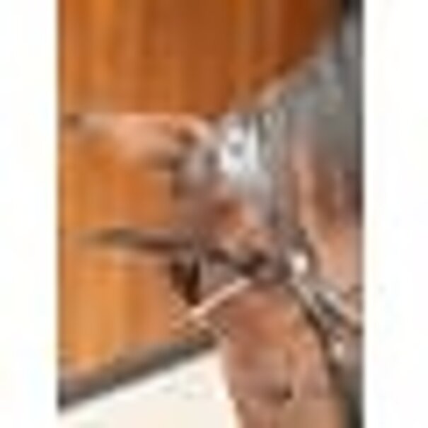 Harry's Horse Hoofdstel Rosegold Lacque Pony Black