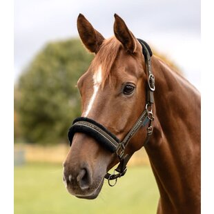 Elegant Halster