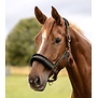 Elegant Halster
