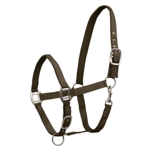 Halster Satin Brown Green
