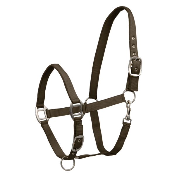 Waldhausen Halster Satin Brown Green