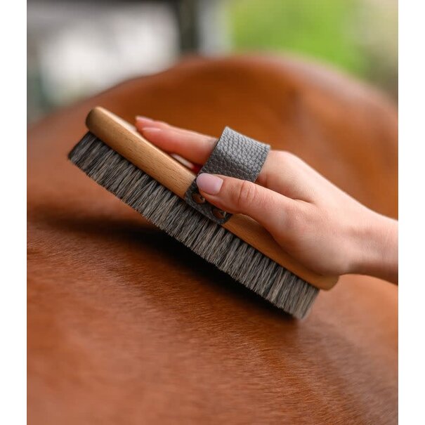 Waldhausen Exclusive Line grooming brush