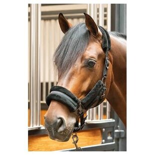 Halterset Soft Billie