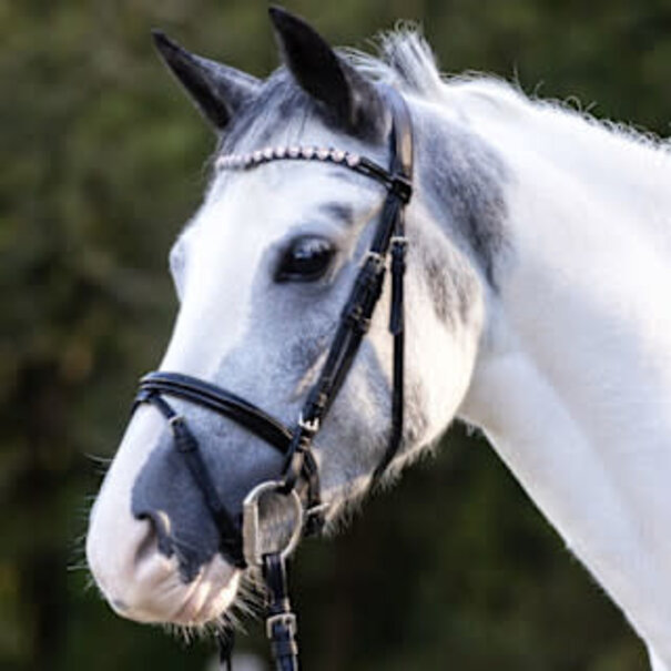 Waldhausen Happy Hearts Trens Hoofdstel Black Shetty