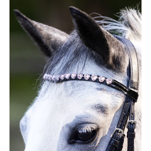 Waldhausen Happy Hearts Trens Hoofdstel Black Shetty