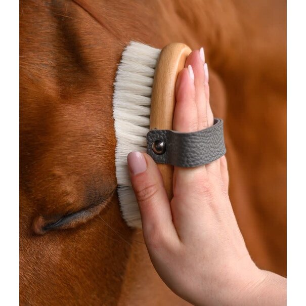 Waldhausen Exclusive Line Hoofdborstel Ultra Soft