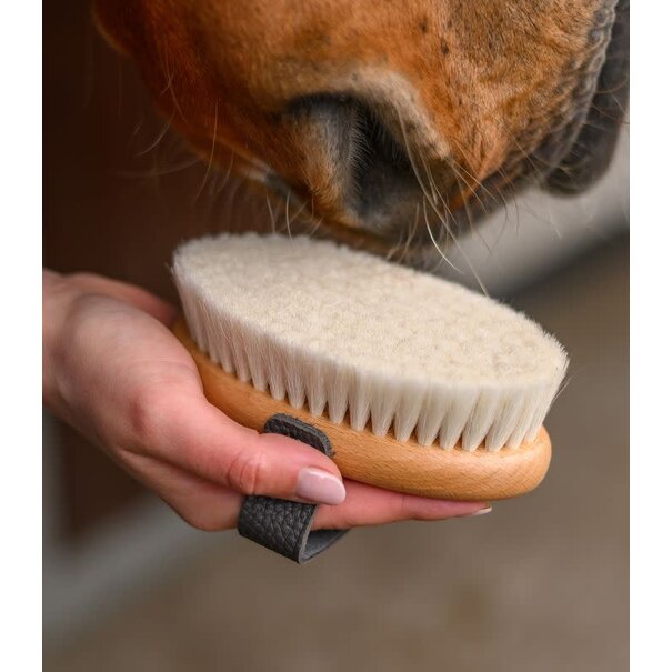 Waldhausen Exclusive Line Hoofdborstel Ultra Soft