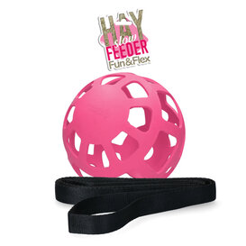 Hay Slow Feeder Fun & Flex Roze Bal
