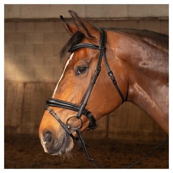 Harry's Horse Hoofdstel Soft Carbon Black Edition