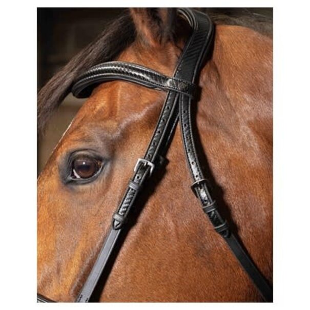 Harry's Horse Hoofdstel Soft Carbon Black Edition