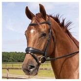 Hoofdstel Elegance Black