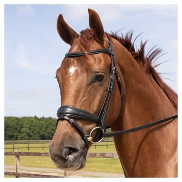 Harry's Horse Hoofdstel Elegance Black