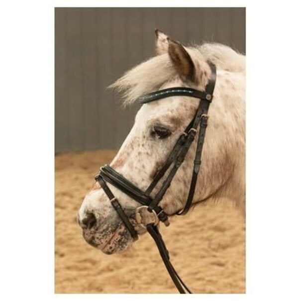 Harry's Horse Hoofdstel STOUT! Lime Black Pony
