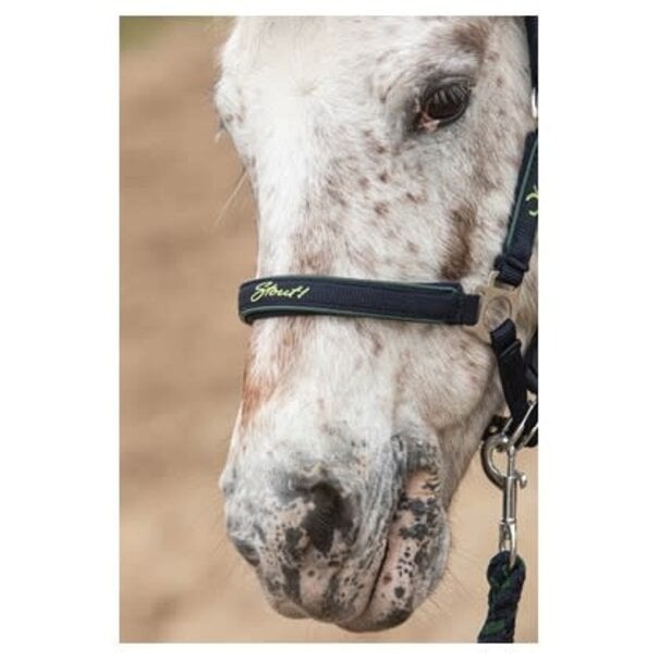Harry's Horse Halsterset STOUT! Lime