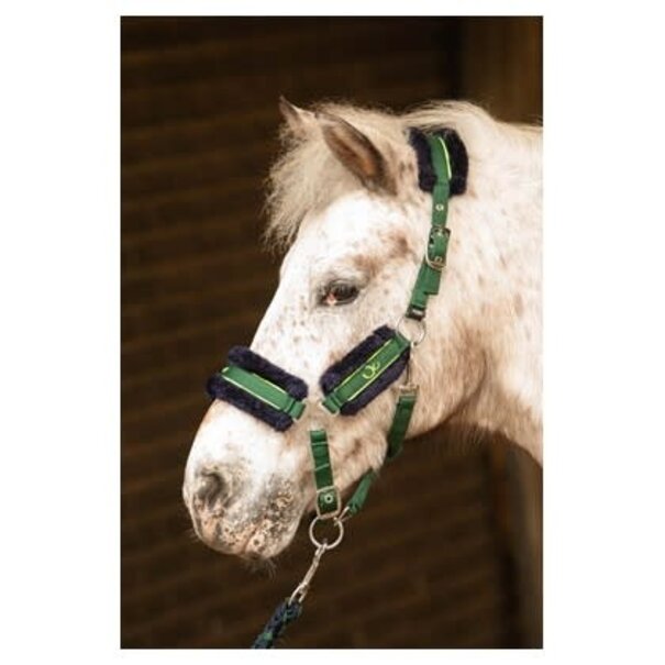 Harry's Horse Halsterset Soft STOUT! Lime