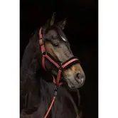 Covalliero Halster + Touw