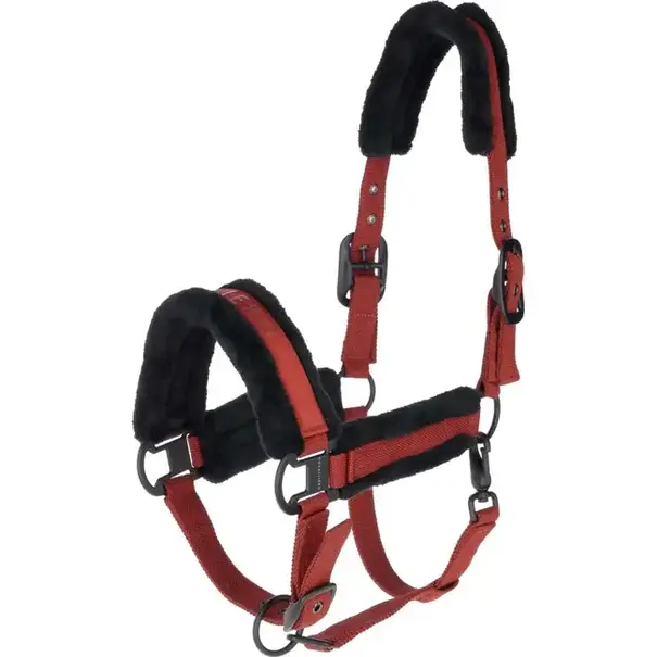 Covalliero Covalliero Halster + Touw