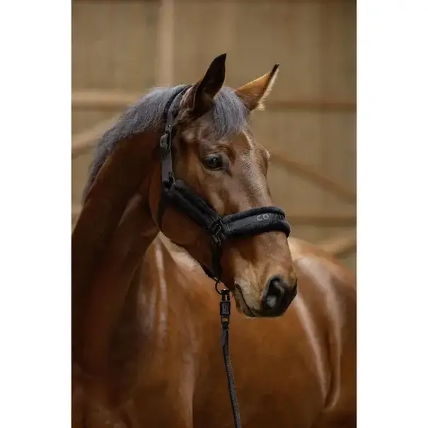 Covalliero Covalliero Halster + Touw