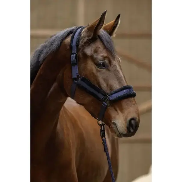 Covalliero Covalliero Halster + Touw